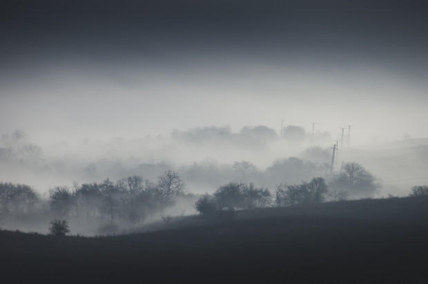 Instytut Meteorologii i Gospodarki Wodnej wydał ostrzeżenie pierwszego stopnia przed gęstymi mgłami/ fot.shutterstock.com IMGW ostrzega przed gęstymi mgłami w nocy