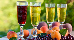 Produkcja win owocowych we wrześniu 2020 roku wzrosła o 1,6 proc. rdr