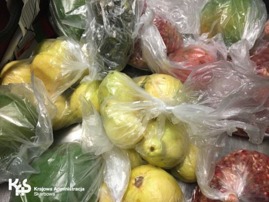 Na Lotnisku Chopina skonfiskowano 176 kg produktów roślinnych przywiezionych nielegalnie przez podróżujących/ fot.IAS Na Lotnisku Chopina skonfiskowano 176 kg produktów roślinnych przywiezionych nielegalnie