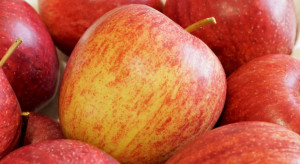 Meksyk otwarty na eksport belgijskich jabłek