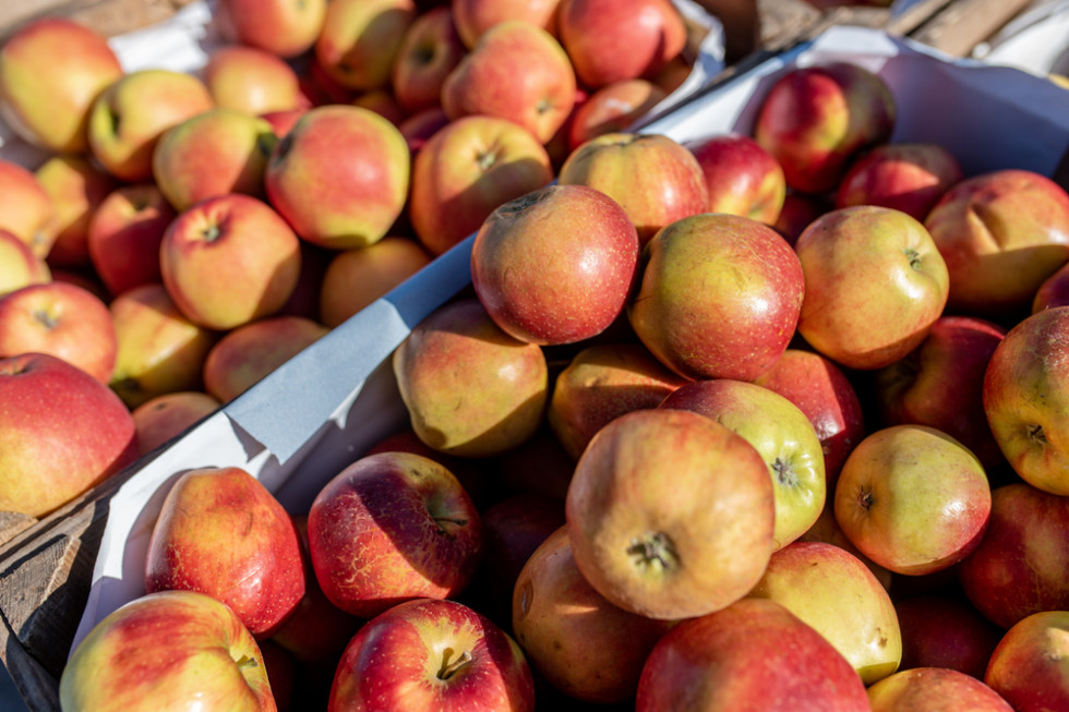 Jakie ceny jabłek na rynkach hurtowych? (analiza)