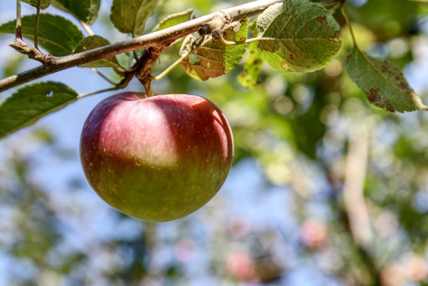W czwartek w kraju zachmurzenie duże z większymi przejaśnieniami/ fot. shutterstock Prognoza pogody na 29 i 30 października