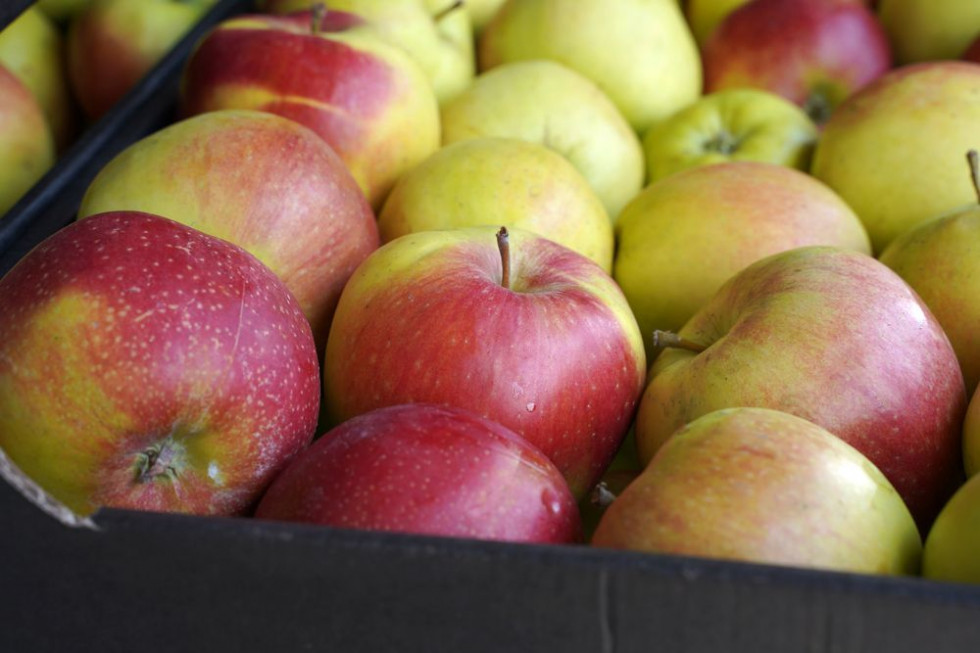 Francja: Eksport jabłek do Kolumbii wzrósł o 136%