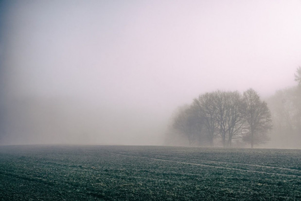 IMGW wydał ostrzeżenie pierwszego stopnia przed gęstymi mgłami / fot. pixabay IMGW ostrzega przed gęstymi mgłami w weekend w 5 województwach