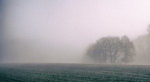 IMGW ostrzega przed gęstymi mgłami w weekend w 5 województwach