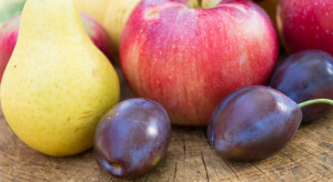 Jabłka, śliwki, gruszki to najpopularniejsze owoce w październiku (badanie)