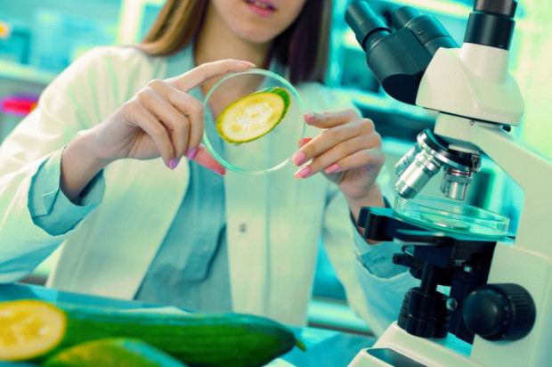 Szykują się zmiany w kontroli jakości produktów rolno-spożywczych/fot. shutterstock Rząd przygotowuje zmiany w kontroli jakości produktów rolno-spożywczych