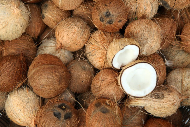 Na Bali studenci płacą za czesne kokosami/ fot. shutterstock Indonezja: Studenci uczelni na Bali mogą opłacać czesne kokosami