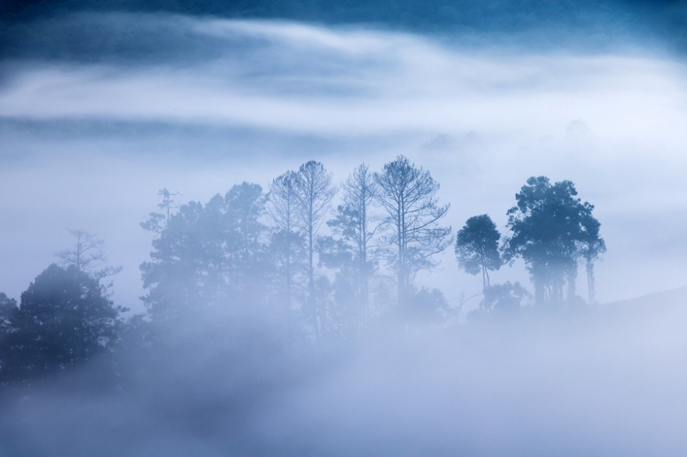 IMGW ostrzega przed gęstymi mgłami w nocy na Mazowszu i Lubelszczyźnie