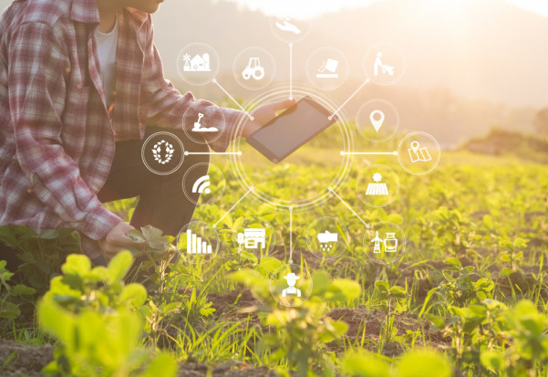 MFiPR: 100 mln zł dla firm opracowujących nowe technologie w rolnictwie/fot. shutterstock.com MFiPR: 100 mln zł dla firm opracowujących nowe technologie w rolnictwie