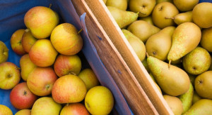USDA: Argentyna zbierze więcej jabłek i gruszek niż w sezonie 2019