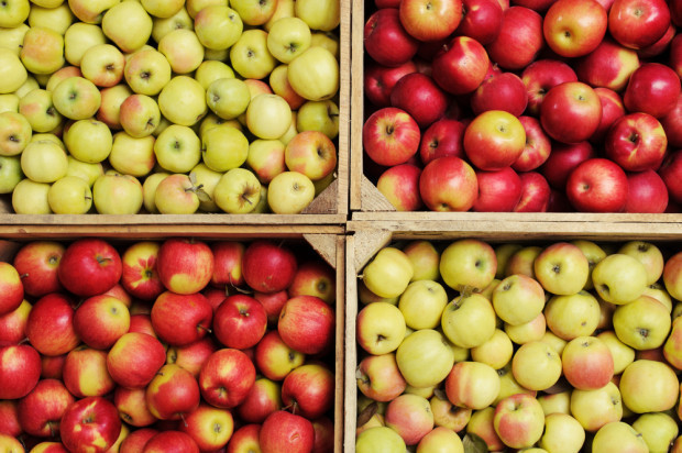 Ceny skupu jabłek deserowych w październiku wynosiły przeciętnie 1,30 zł/kg / fot. shutterstock Rynek jabłek deserowych 2020: Zbiory, ceny i perspektywy