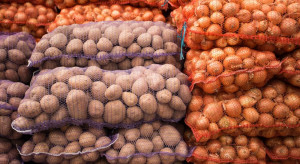 Ukraina importuje ziemniaki z Polski i Holandii