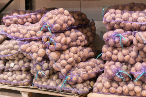 Białoruś: Największy udział w eksporcie warzyw stanowią ziemniaki