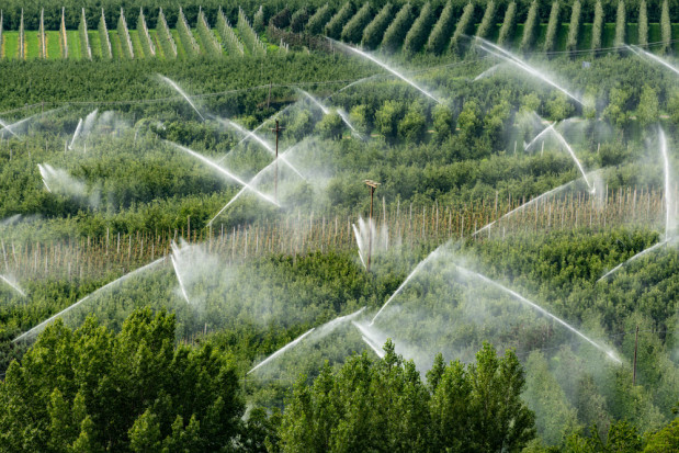 Inwestycje w nawadnianie gospodarstw - 30 listopada rusza nabór wniosków fot. shutterstock.com Inwestycje w nawadnianie gospodarstw - 30 listopada rusza nabór wniosków