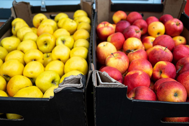 Brak harmonizacji uregulowań prawnych dotyczących opakowań i ich recyclingu może prowadzić do marnotrawstwa żywności/ Fot. shutterstock Brak uregulowań prawnych dot. opakowań wyzwaniem dla sektora warzywno-owocowego
