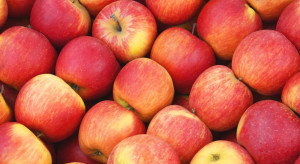 Sezon jabłkowy 2020 - jak sprawić aby nie zakończył się nieuzasadnioną obniżką cen?