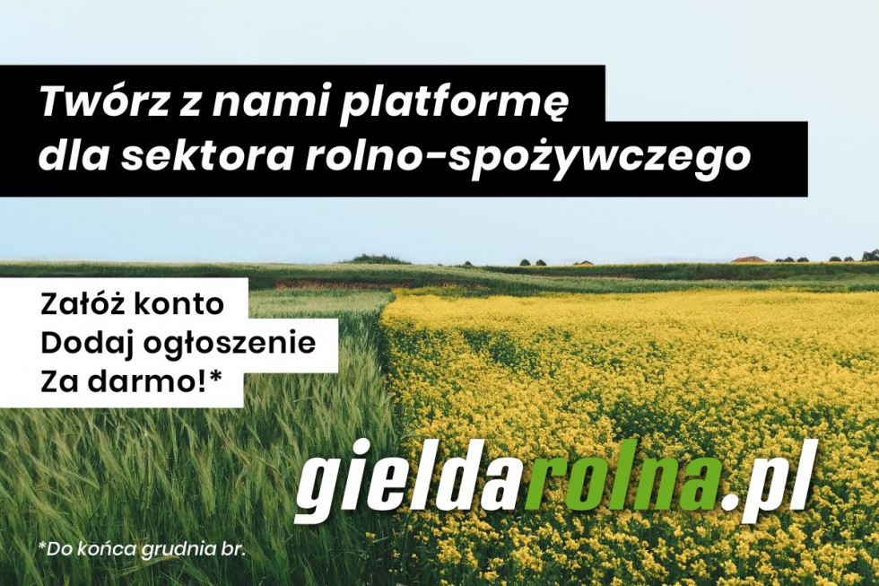Giełda Rolna: sprzedaj swoje owoce lub warzywa, kup potrzebny sprzęt i akcesoria