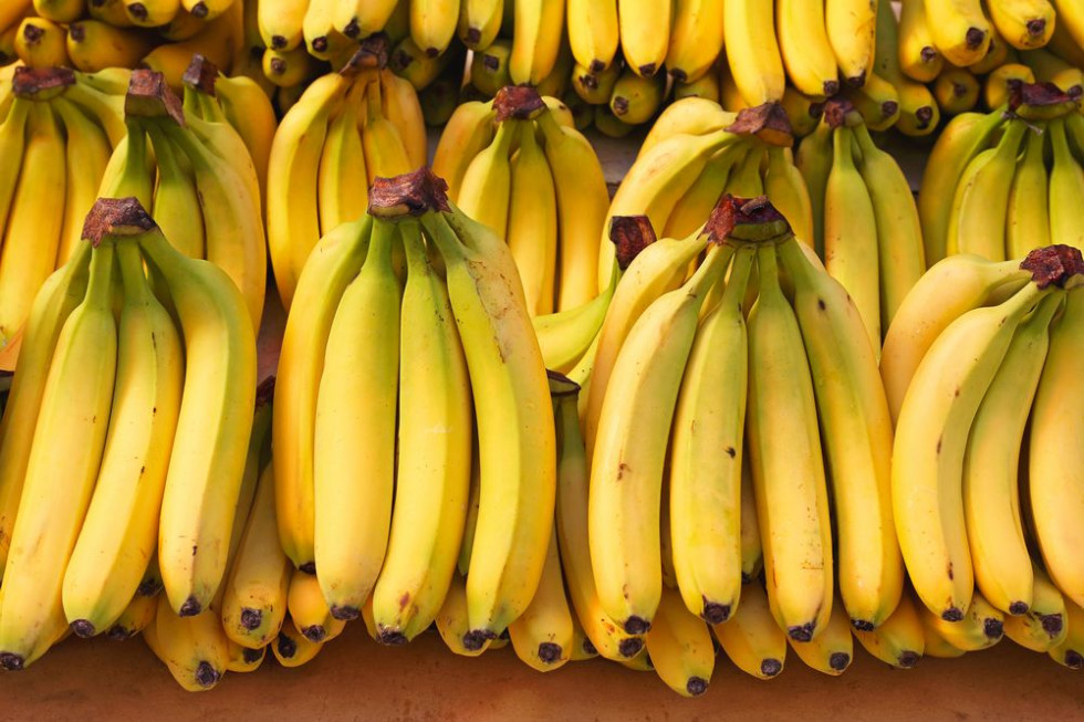 Ekwador bliski nowego rekordu w eksporcie bananów