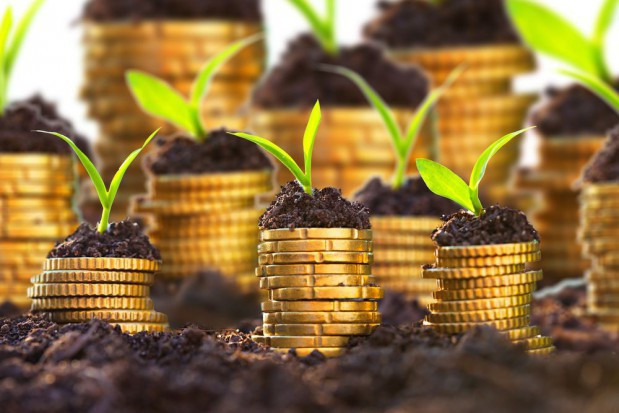 30 listopada ruszyły dwa z czterech planowanych jeszcze na ten rok naborów wniosków; fot. shutterstock.com ARiMR: ruszył naborów wniosków na nawadnianie i rozwój usług rolniczych
