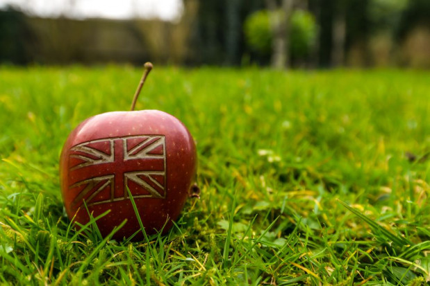 Brexit wzmocni brytyjskie sadownictwo?/ fot. shutterstock Brexit szansą dla brytyjskich sadowników?