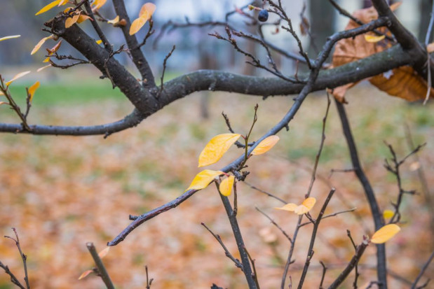 W niedzielę na południu i zachodzie kraju zachmurzenie małe i umiarkowane/ fot. shutterstock Prognoza pogody na 6 i 7 grudnia