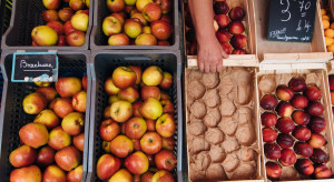 Ceny jabłek w popularnych sieciach handlowych - duże rozbieżności