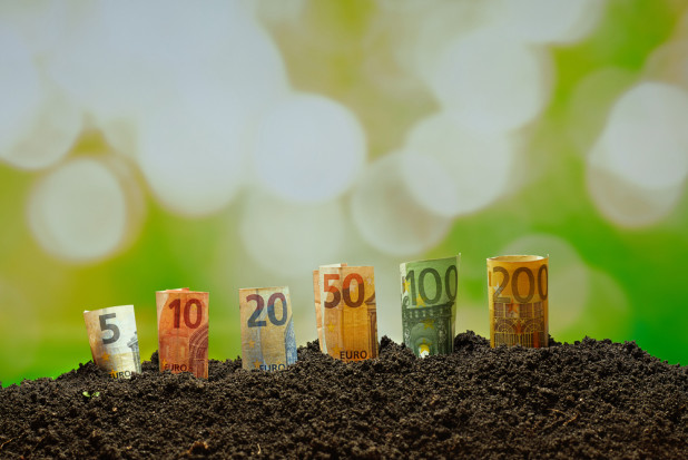 Na konta rolników do końca listopada br. wpływały zaliczki na poczet dopłat bezpośrednich./ fot.shutterstock.com Różne kwoty zaliczek dopłat bezpośrednich? ARiMR wyjaśnia