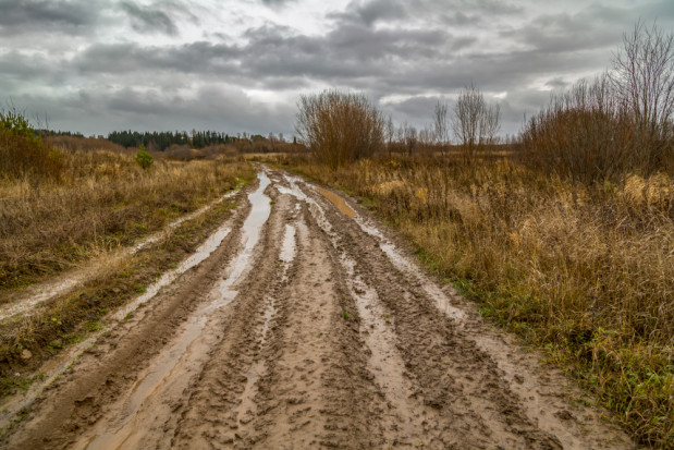 Zakaz sprzedaży ziemi państwowej nie spełnił oczekiwań rolników/fot. shutterstock.com Zarząd K-PIR: Zakaz sprzedaży ziemi państwowej nie spełnił oczekiwań rolników
