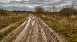 Zarząd K-PIR: Zakaz sprzedaży ziemi państwowej nie spełnił oczekiwań rolników