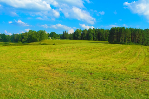 Jakie płatności będą obowiązywać w nowej WPR?/fot. shutterstock.com Jakie płatności będą obowiązywać w nowej WPR?