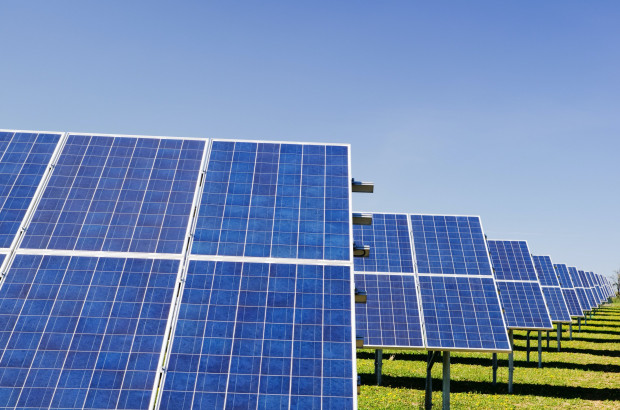 Powstał projekt szklarni solarnej; fot. unsplash.com Powstał projekt szklarni solarnej - zasilanej energią słoneczną