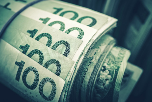 ARiMR wypłaci w grudniu 200 mln zł na dopłaty bezpośrednie /fot. shutterstock.com ARiMR wypłaci w grudniu 200 mln zł na dopłaty bezpośrednie