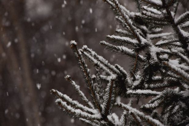 Szansa, że będzie śnieg w święta wynosi 20 proc./ Fot. unsplash IMGW: W święta 20 proc. szans na śnieg
