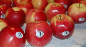 Stowarzyszenie Sady Grójeckie zachęca seniorów do jedzenia jabłek