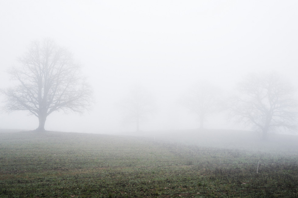 IMGW: gęste mgły w 6 województwach