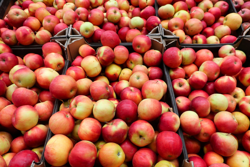 Rosja przedłuża zerowe cła na import owoców i warzyw z Mołdawii
