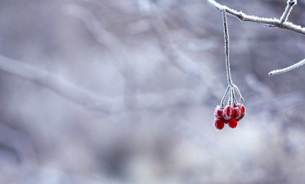 Duże uderzenie chłodu ma nastąpić w czwartek / fot. pixabay Idzie duże ochłodzenie
