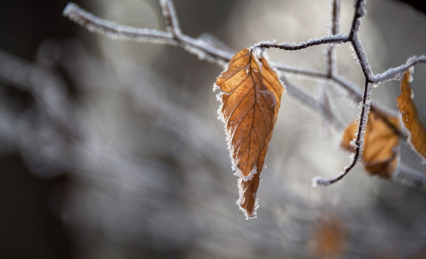 Wschodnia połowa kraju pozostanie w strefie frontów atmosferycznych/ fot. pixabay Prognoza pogody na 6 stycznia