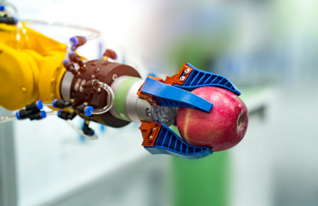 Japończycy opracowali robota do zbioru jabłek i gruszek/ fot. shutterstock.com Japończycy opracowali robota do zbioru jabłek i gruszek
