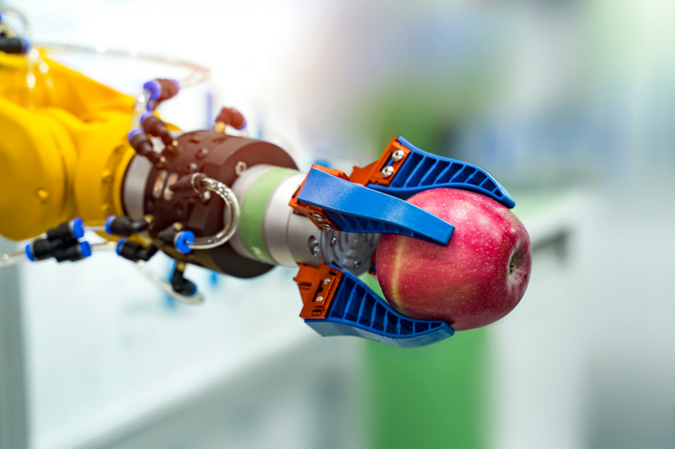 Japończycy opracowali robota do zbioru jabłek i  gruszek