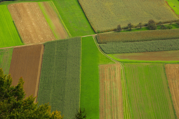 Prawdopodobnie w 2021 roku będzie można kupić aż 5 hektarów ziemi rolnej. / fot. shutterstock.com Rząd pozwoli na zakup 5 hektarów ziemi rolnej?