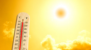 IMGW: Rok 2020 należy uznać za ekstremalnie ciepły