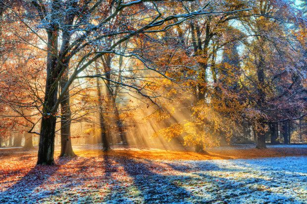 Pogoda na 11 stycznia: Liczne przejaśnienia, temperatura od -2 do 3 stopni C/ fot. shutterstock.com Pogoda na 11 stycznia: Liczne przejaśnienia, temp. od -2 do 3 stopni C