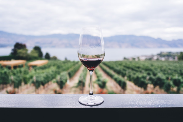 Produkcja wina w Polsce w latach 2009-2020 wzrosła aż 35 krotnie/ fot. unsplash KOWR: 35-krotny wzrost produkcji wina w Polsce