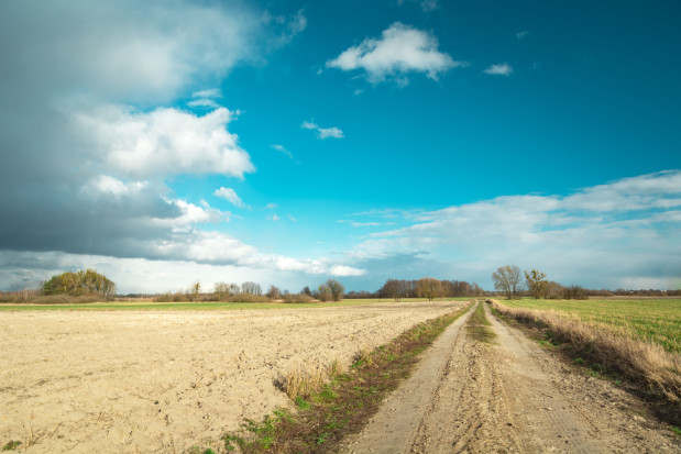 KOWR pobiera dopłaty bezpośrednie na 100 tysięcy hektarów ziemi/fot. shutterstock.com KOWR pobiera dopłaty bezpośrednie na 100 tysięcy hektarów ziemi