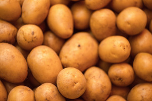 Bułgaria: niemieckie i francuskie ziemniaki sprzedawane jako krajowe