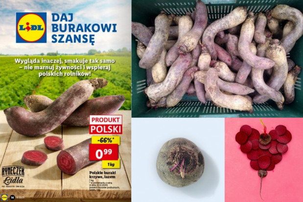 Krótka historia o "krzywych" burakach; fot. unsplash.com / mat. pras. Dramat rolnika przekuty w sukces. Historia "krzywych" buraków