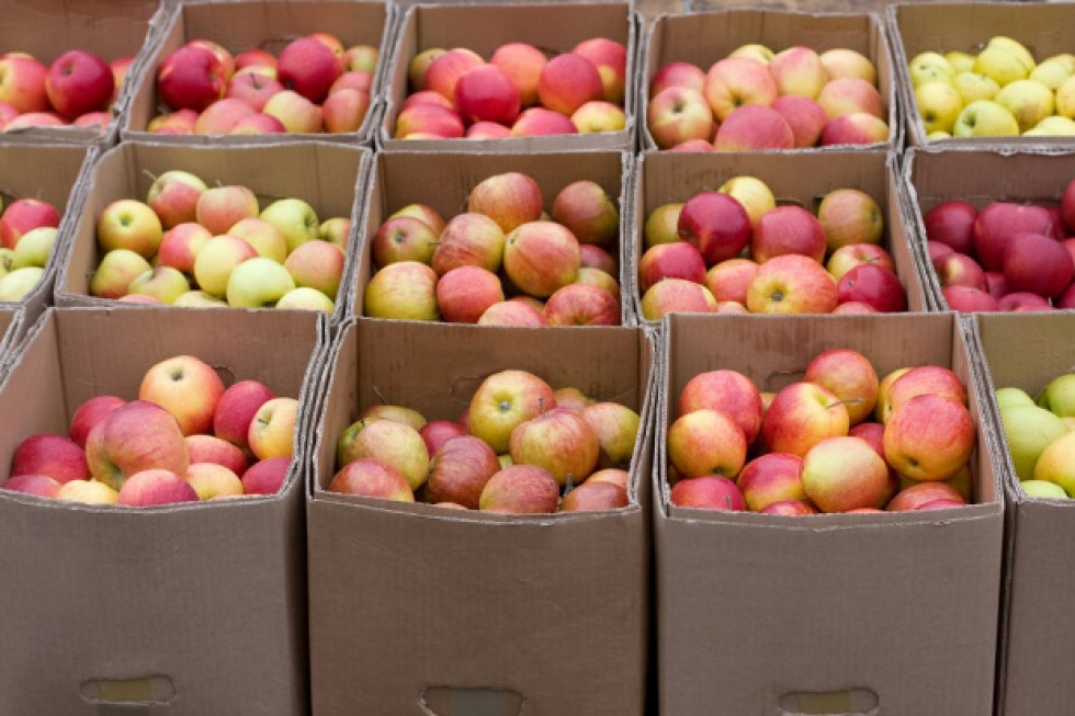Mołdawia: eksport jabłek w grudniu najniższy od trzech lat