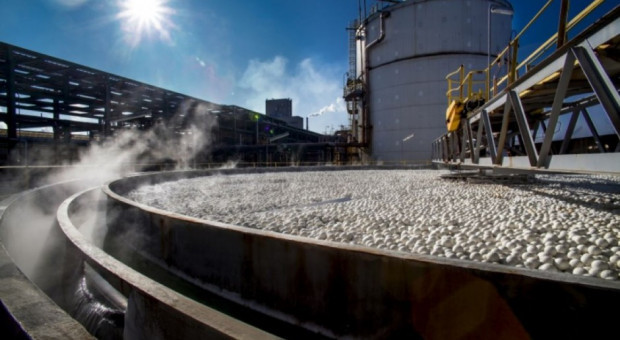 GUS: produkcja nawozów azotowych w grudniu wzrosła o 1,7 proc. rdr